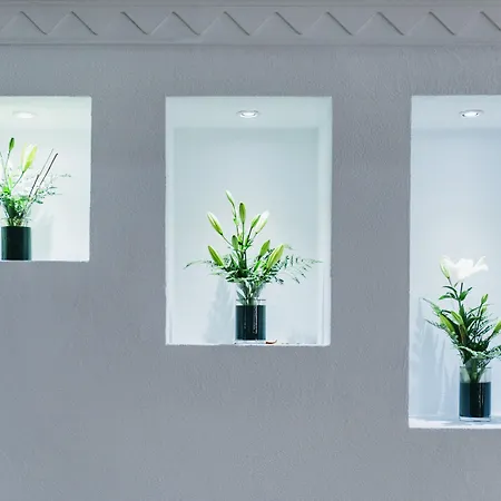 Ona Palm 3* Πλάγια ντε λας Αμέρικας