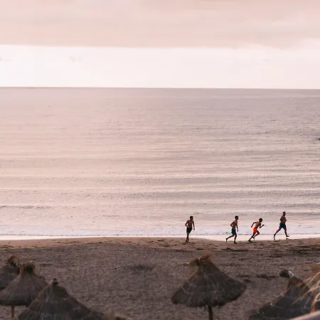 아파트호텔 Ona Palm 플라야데라스아메리카스