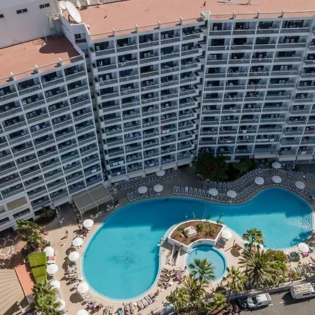 Palm - Excel & Aparthotel Playa de las Americas (Tenerife)