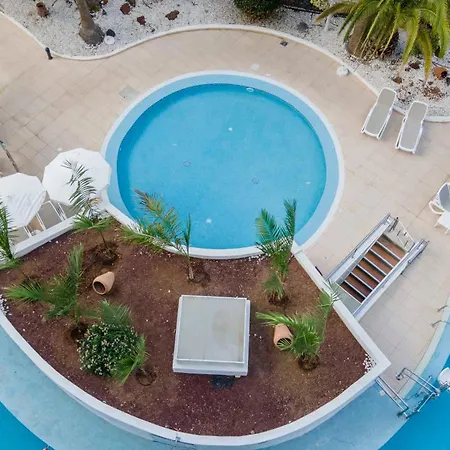 Palm - Excel & Aparthotel Playa de las Americas (Tenerife)